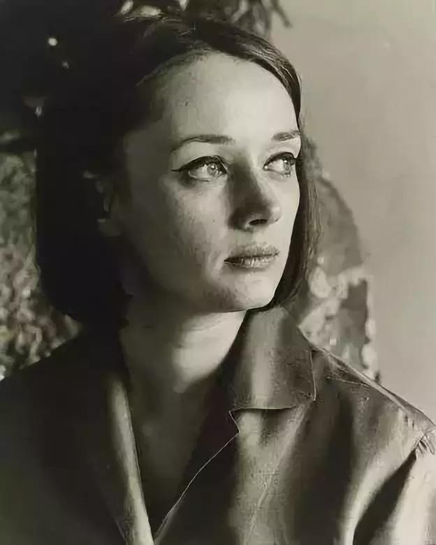 妮基圣法勒作品,妮基圣法勒作品解读