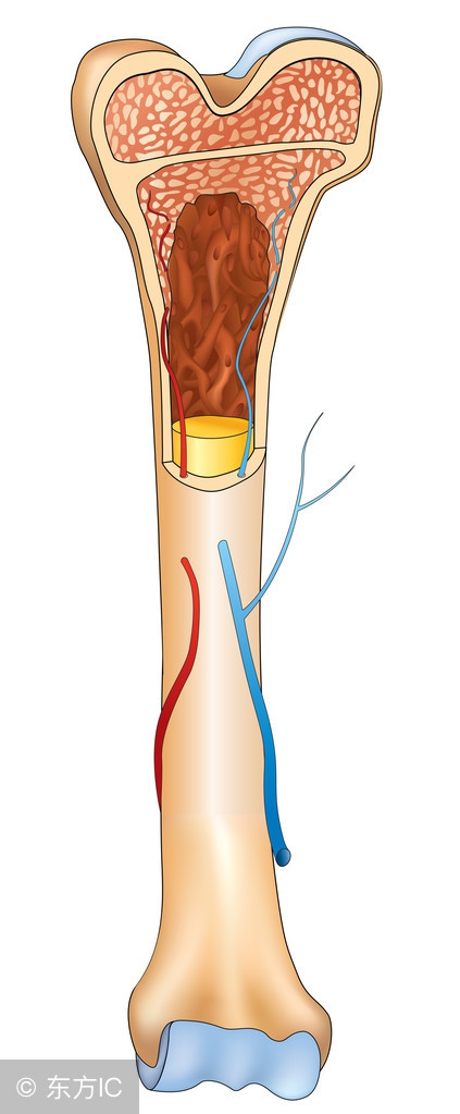 糖尿病骨质疏松吃什么药效果好,骨质疏松糖尿病吃什么药
