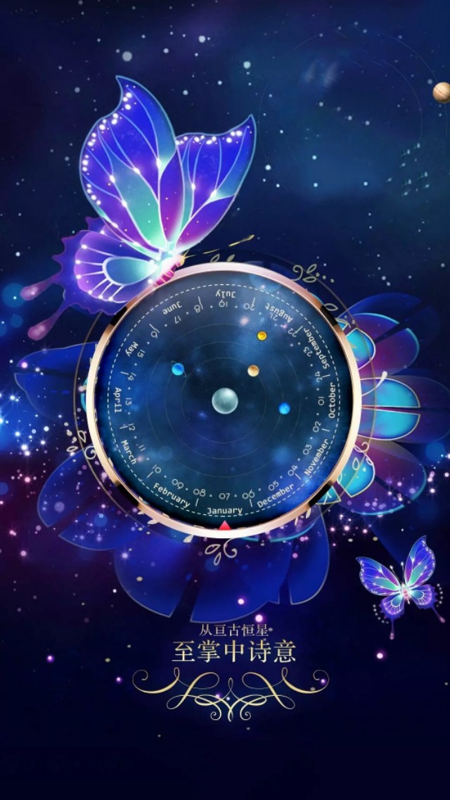 蝶恋花全屏手机壁纸图文,手机壁纸蝶恋花荧光闪耀太好看啦