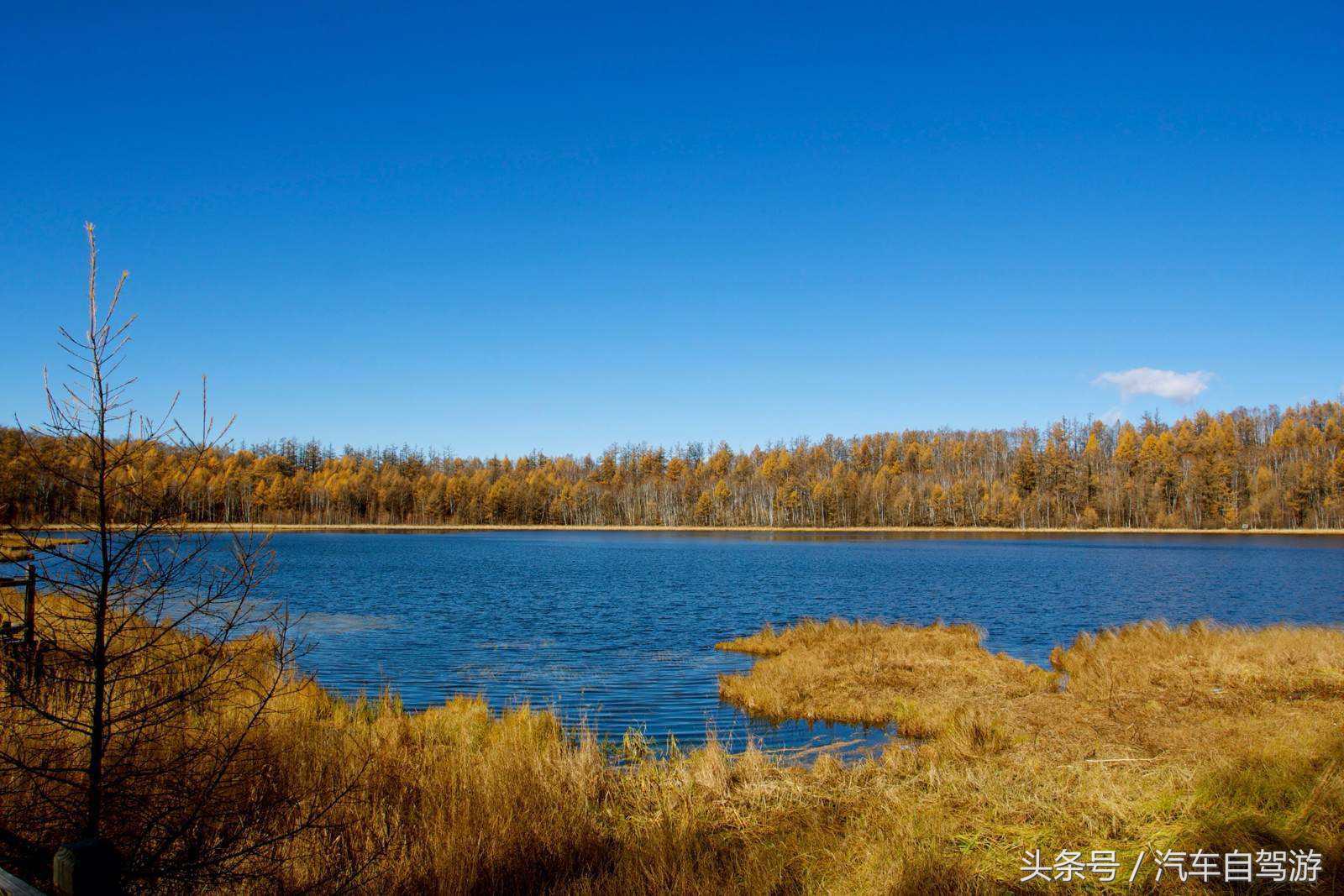 阿尔山摄影推荐,9月初阿尔山景色