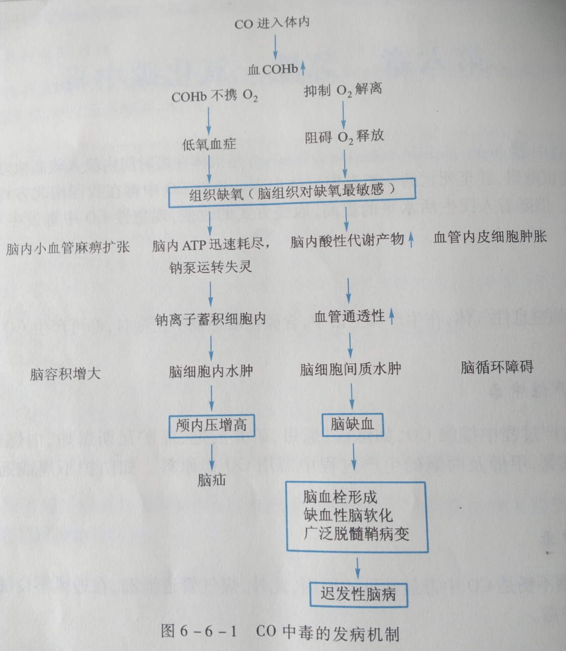 什么气体中毒不能按压抢救,有毒气体中毒急救原则