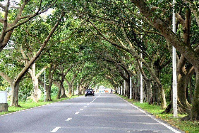 一个人带娃三亚四天亲子游攻略,带孩子三亚旅游全攻略