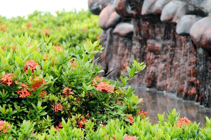 一个人带娃三亚四天亲子游攻略,带孩子三亚旅游全攻略