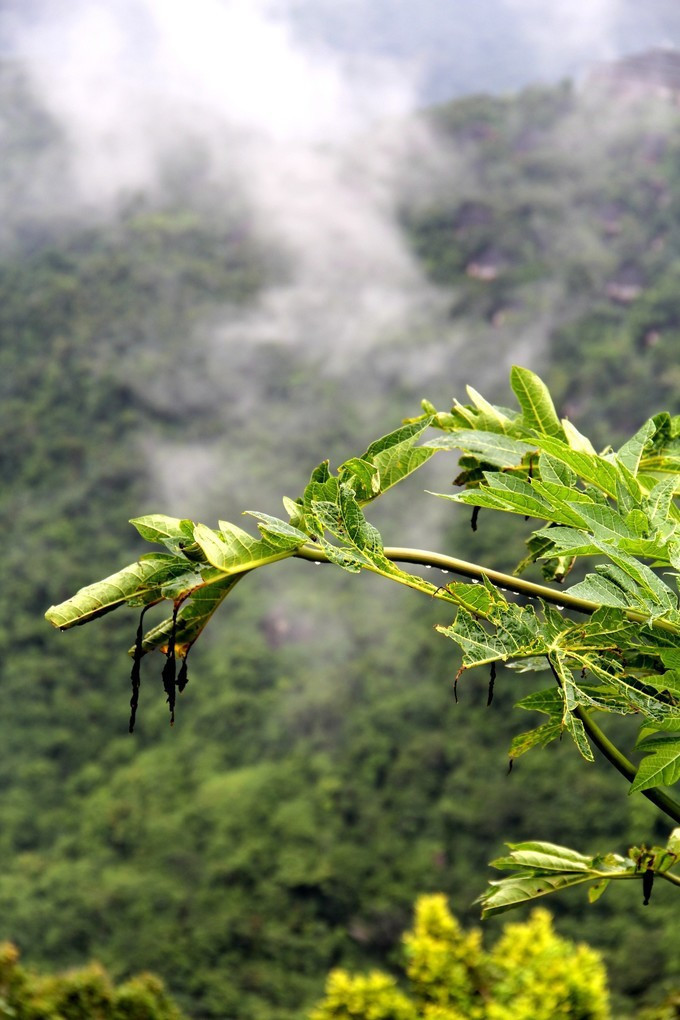 一个人带娃三亚四天亲子游攻略,带孩子三亚旅游全攻略