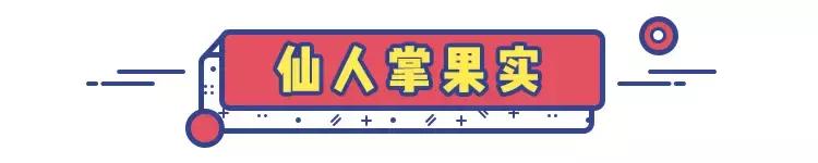 那些奇葩水果,哪些奇特的水果你吃过几种