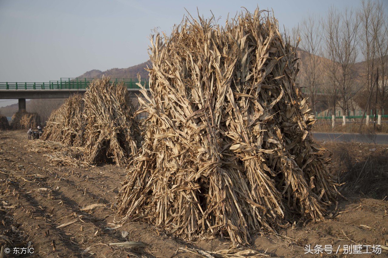 农村自建房屋顶瓦的做法,农村自建房屋面瓦选哪种好