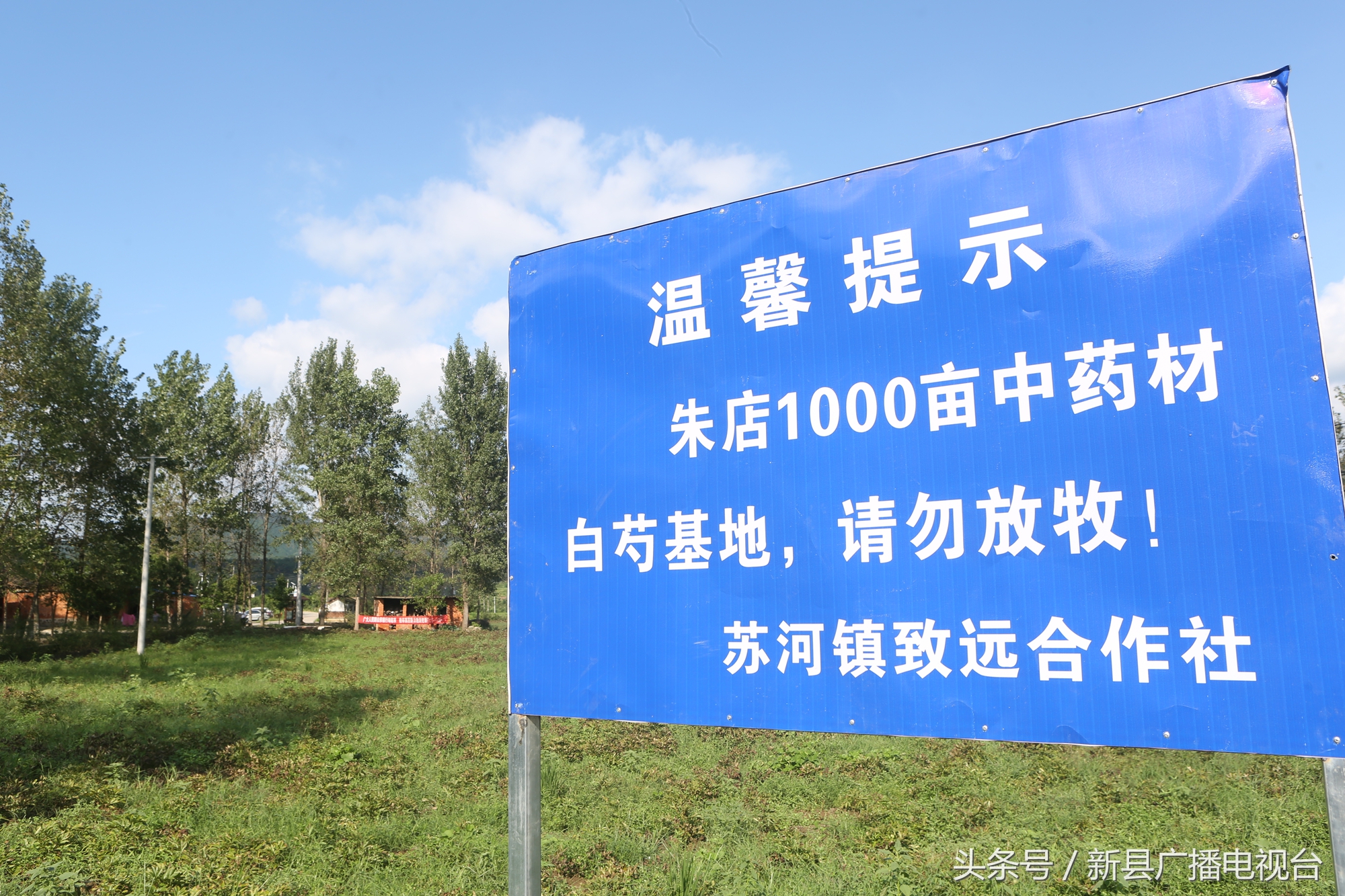 我的美丽乡村梦绘画,我的美丽乡村