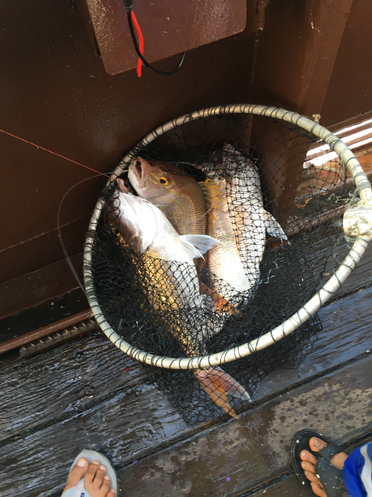 别让贫穷限制了想象力是谁说的,别让贫穷限制了我们的眼界