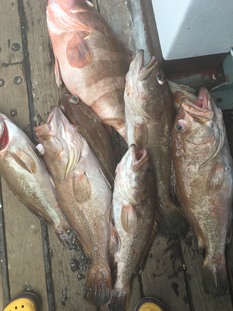 别让贫穷限制了想象力是谁说的,别让贫穷限制了我们的眼界