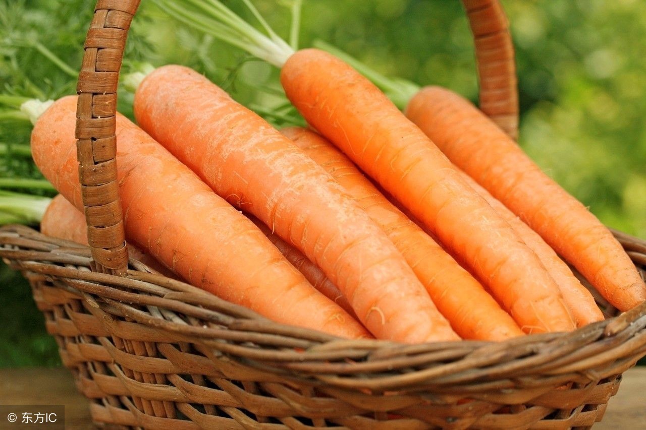 吃什么能防止脱发跟生发,脱发生发吃什么食物好