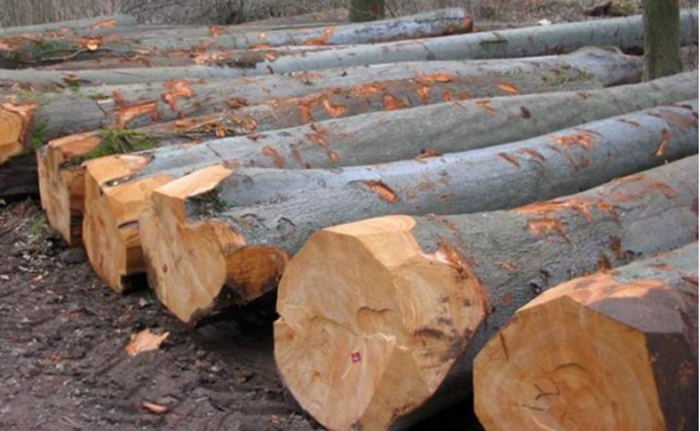 水曲柳更适合用来做哪种家具,水曲柳适合做美式家具吗