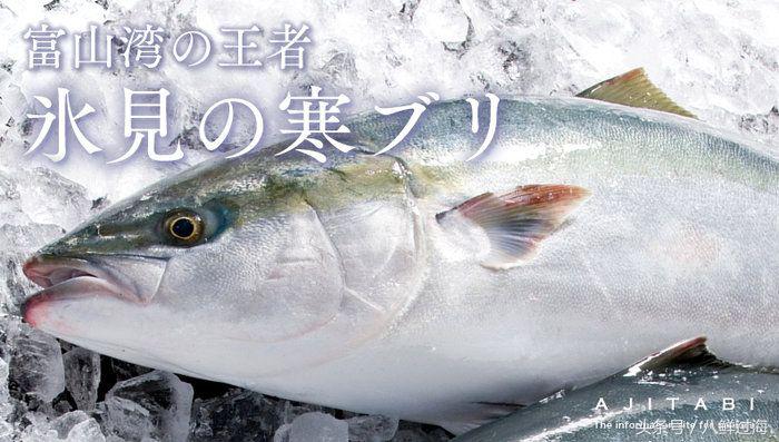 鰤鱼在哪里吃,日本寒鰤鱼做法