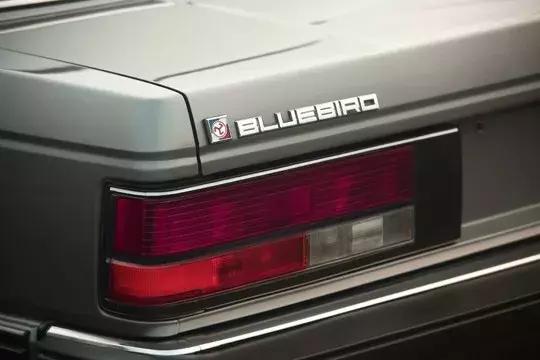 曾经的蓝鸟,当年蓝鸟