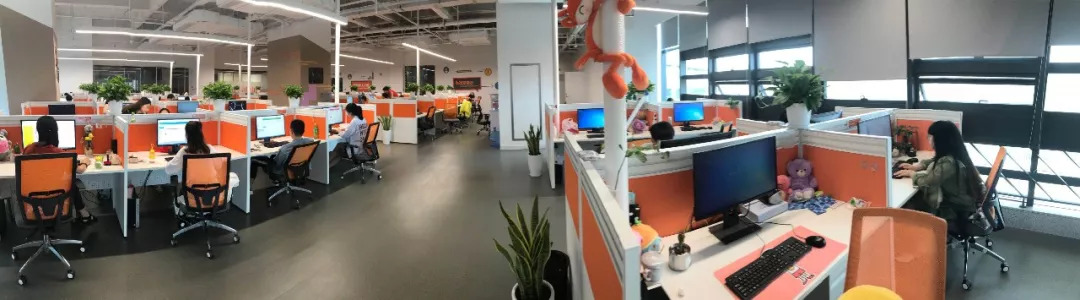 9月1日！阿里*维音管理层专场招聘来衢州啦！高薪高福利……