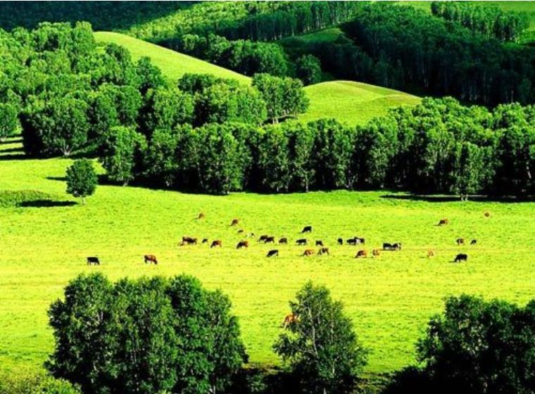 北京大七环风景,大七环旅游景点