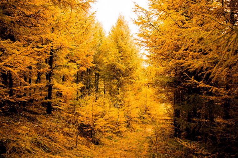 北京大七环风景,大七环旅游景点