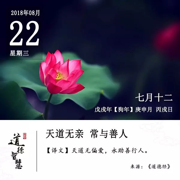 从业25年专注一件事,25年专注干一件事