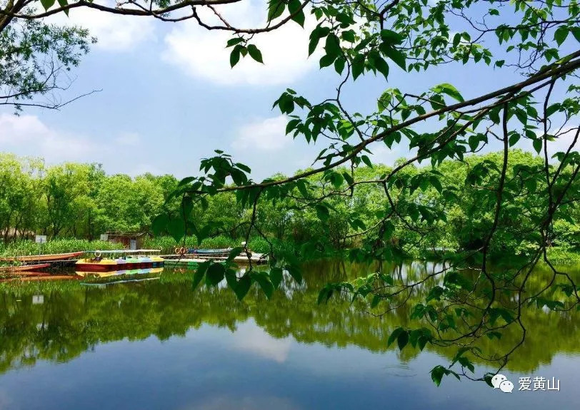 「关注」气势恢弘！黄山北站杭*站黄**场基本完工！