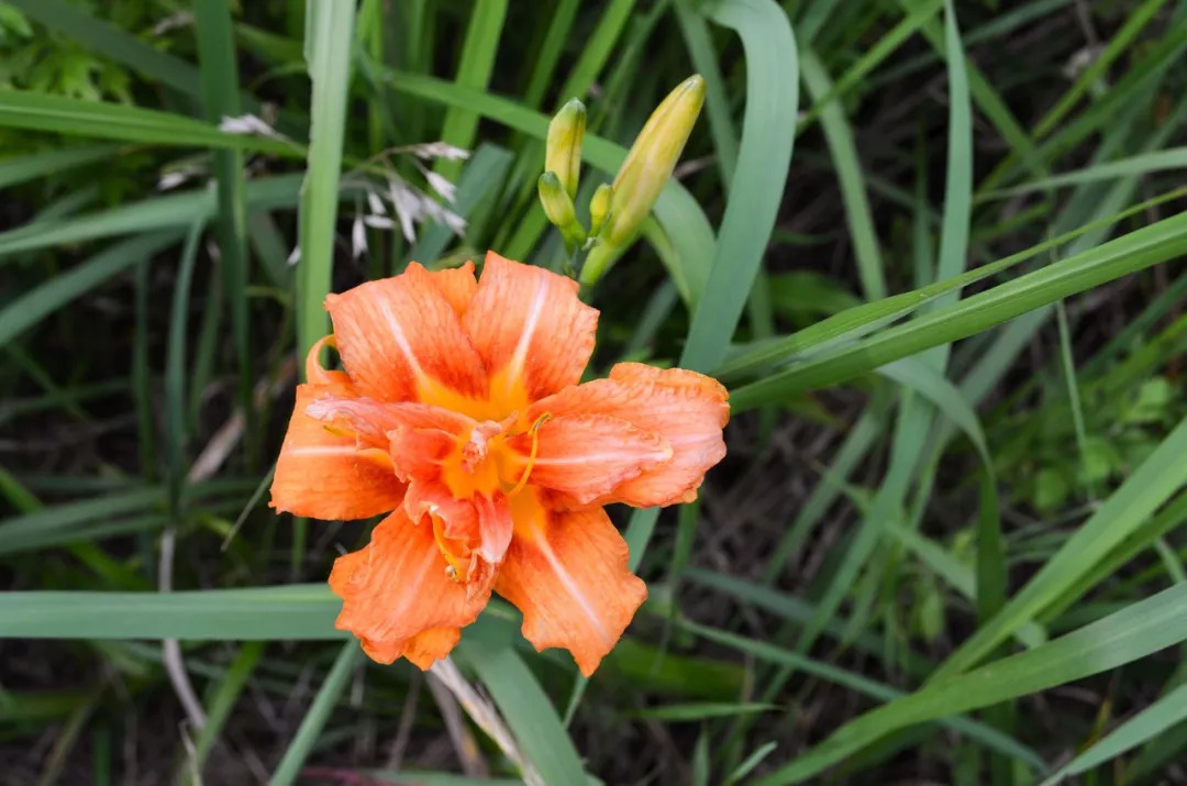 一个月入三万的人,一个月入3万的人