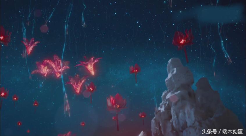 留梓池畔灵修,5朵凤凰花次第绽放,暗示了什么?