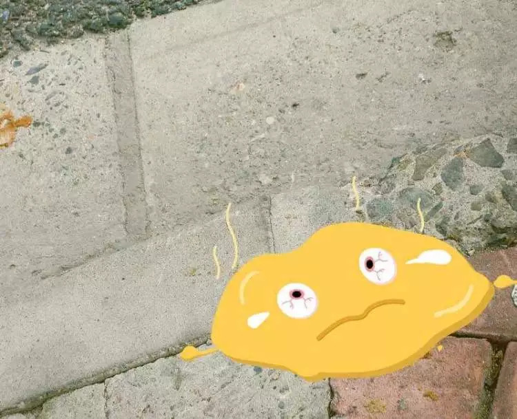 走狗屎运是真的要踩到狗屎吗,怎样才能有狗屎运