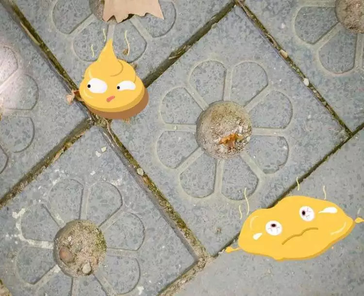 走狗屎运是真的要踩到狗屎吗,怎样才能有狗屎运