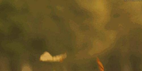 多事之秋怎么办,多事之秋如何度过