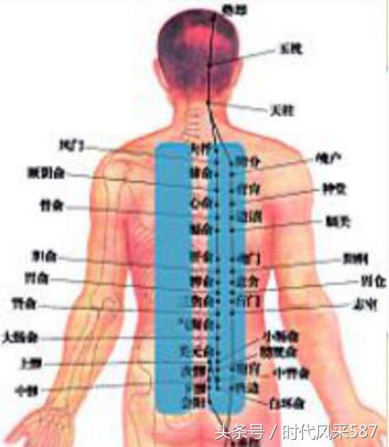 释延振臻灸养生堂,释延振臻灸养生堂招商
