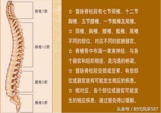 释延振臻灸养生堂,释延振臻灸养生堂招商