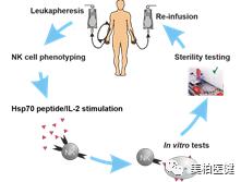 非特殊类型T细胞淋巴瘤,非霍奇金型t细胞淋巴瘤