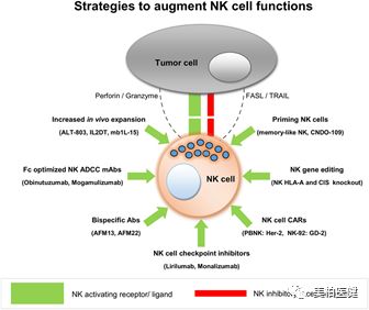 非特殊类型T细胞淋巴瘤,非霍奇金型t细胞淋巴瘤