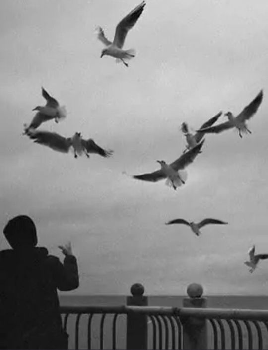 黑暗系壁纸女生霸气,黑暗系壁纸推荐