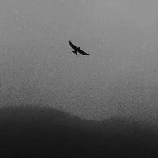 黑暗系壁纸女生霸气,黑暗系壁纸推荐