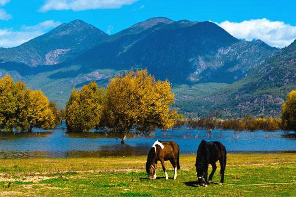 香格里拉自驾游攻略自助游,香格里拉到西藏攻略