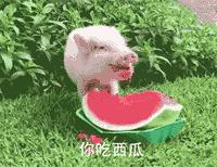 收藏此文,中药补汤不白喝