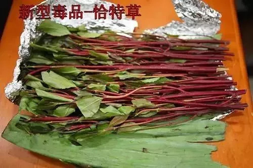 太可怕！做微商竟成毒贩！新型*品毒**“蓝精灵”出现，女孩小心了！