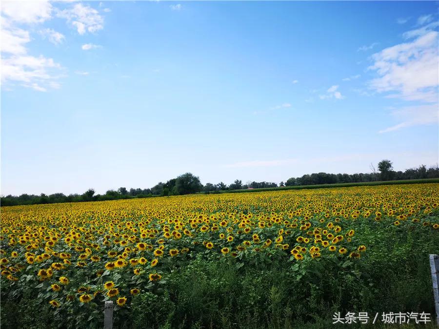 通往你内心深处的路是哪条路,路虎发现无止境故事