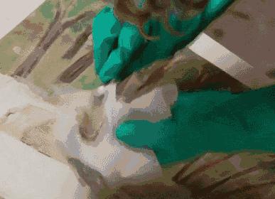 职业造假,伪造大师14幅画卖5亿