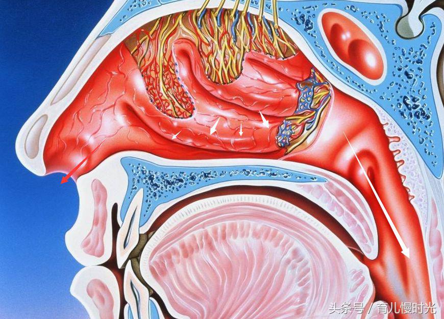 宝宝鼻屎颜色隐藏的奥秘,这个颜色需要去医院别耽误
