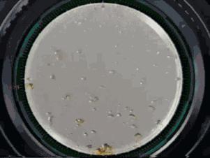 13种致癌洗洁精,5种致癌洗洁精