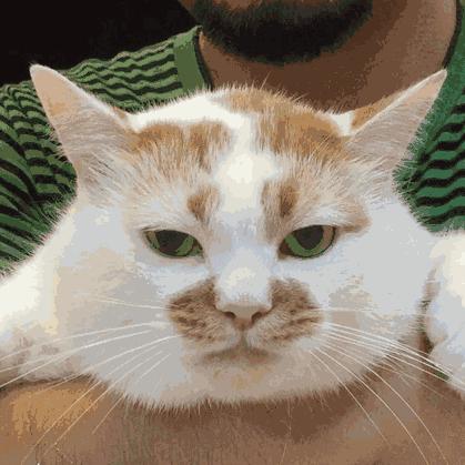 2018aj1全明星配色,谁是aj第一人