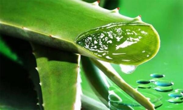 国货好物推荐10元内学生党护肤,10元以下护肤产品推荐