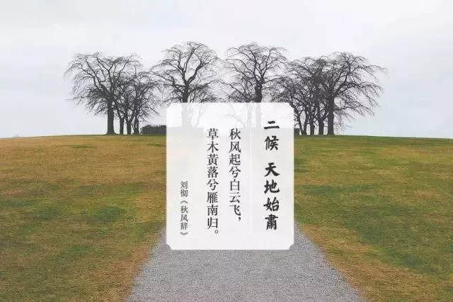 暑气至此而止秋意渐浓,今日处暑秋意渐浓