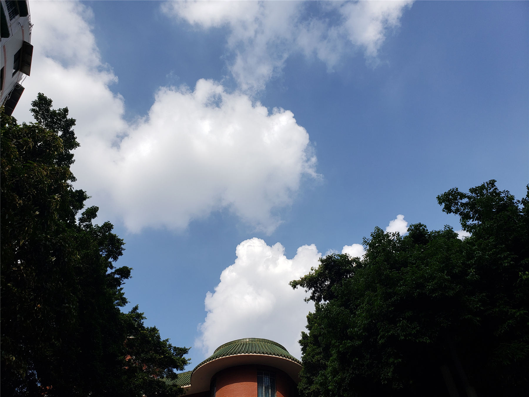 三星机皇note20,三星note9测评拆解