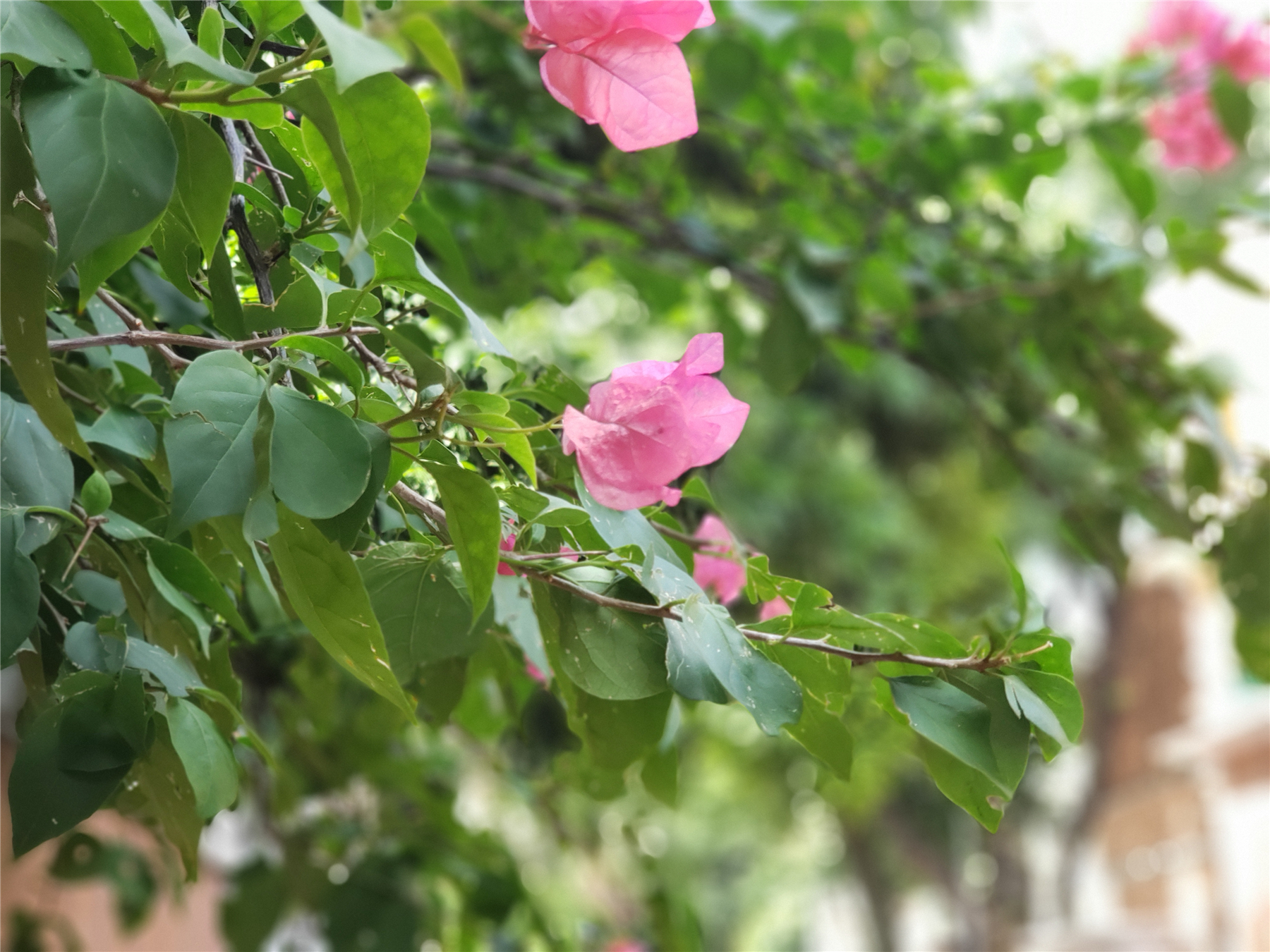 三星机皇note20,三星note9测评拆解