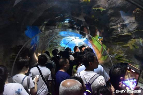 大连，我租辆B级车游山，1.5T、248元值不？