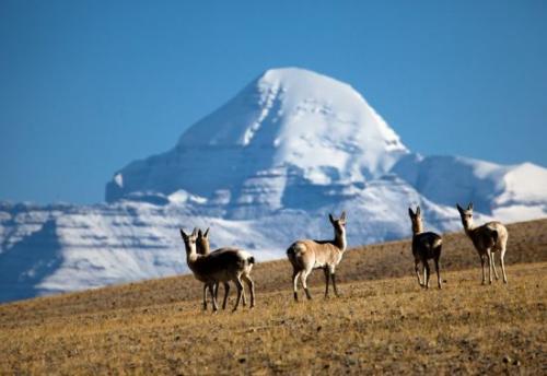“我爱家乡”类优秀范文（共五篇）之一：我爱家乡的山