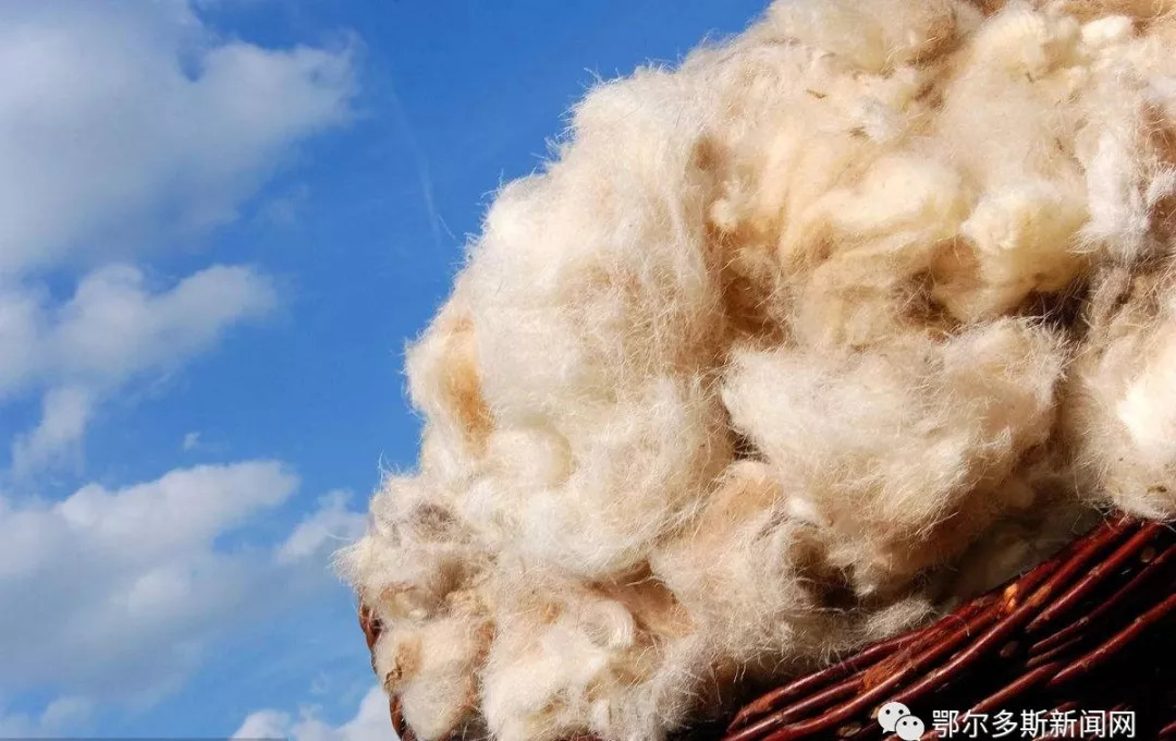 你想买的时尚羊绒制品都在这！9月14日—16日东胜“菜篮子”等你呦！