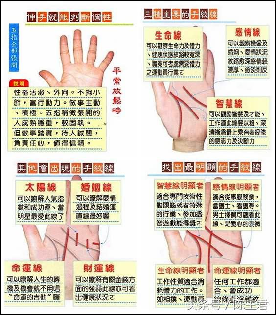 教你看手相面相,学看手相的教程