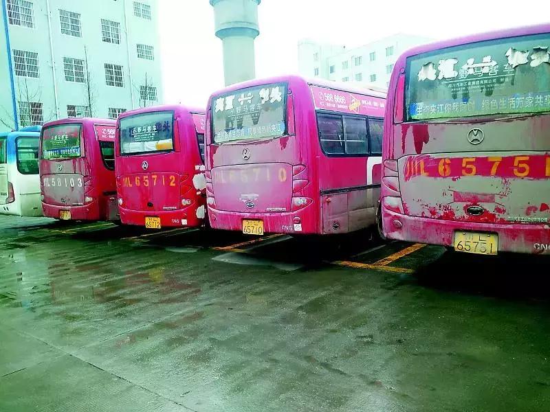 马上,这些年轻人要离开乐山!未来将属于他们……